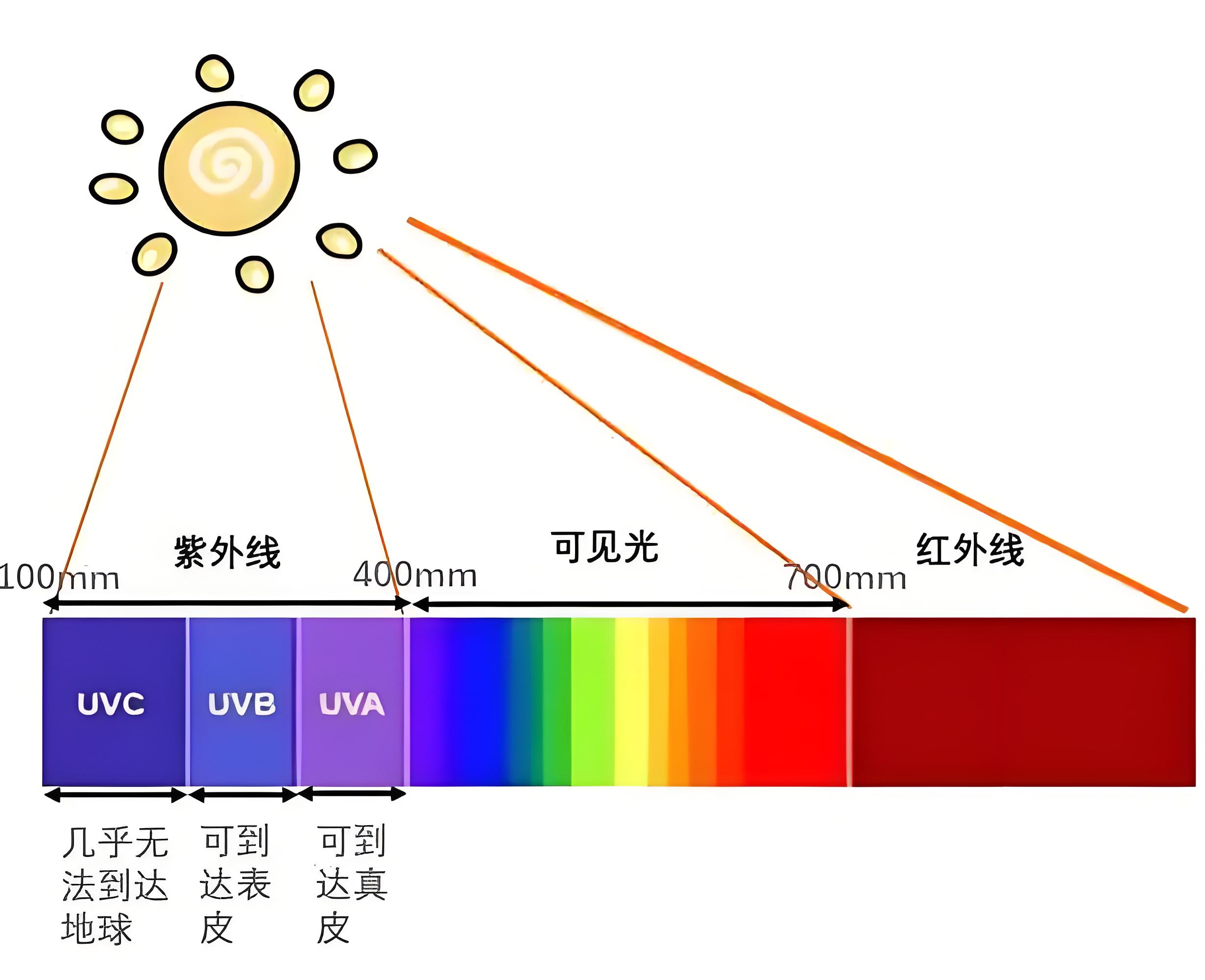 特定波长紫外线.jpg